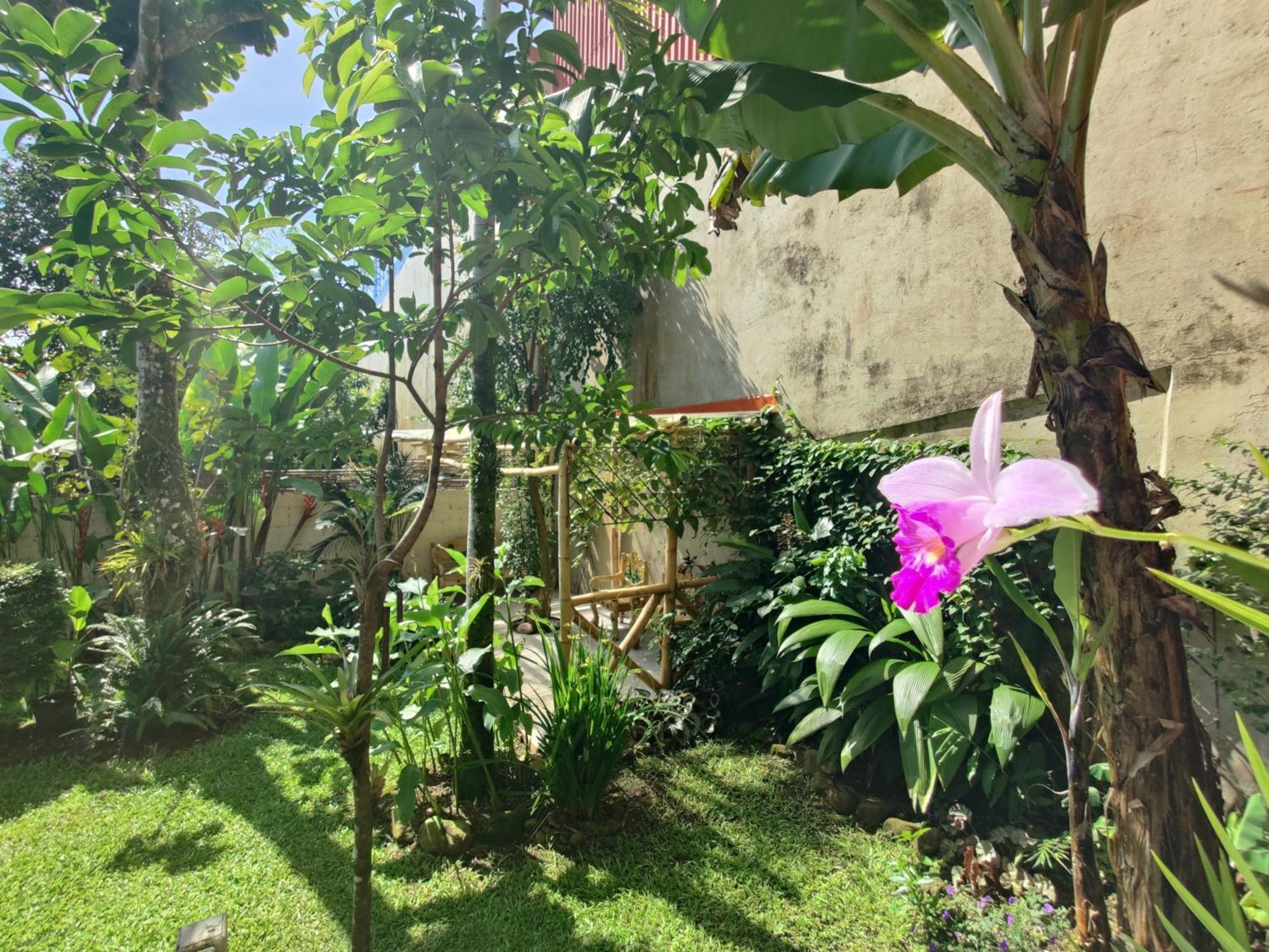 Casa De Lis Hotel & Tourist Info Centre توريالبا المظهر الخارجي الصورة